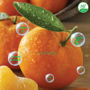 DINH DƯỠNG TỪ QUÝT ÚC HG FRESH