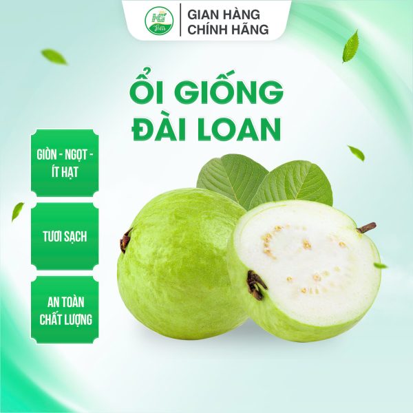 oi dai loan