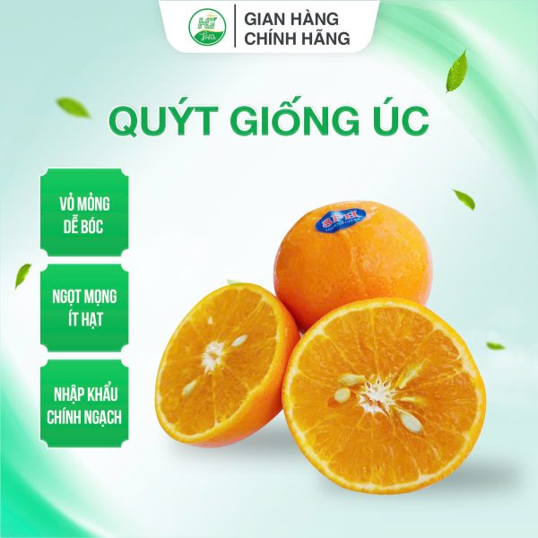 quyt uc