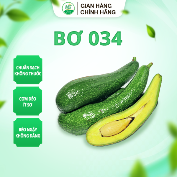 BƠ 034