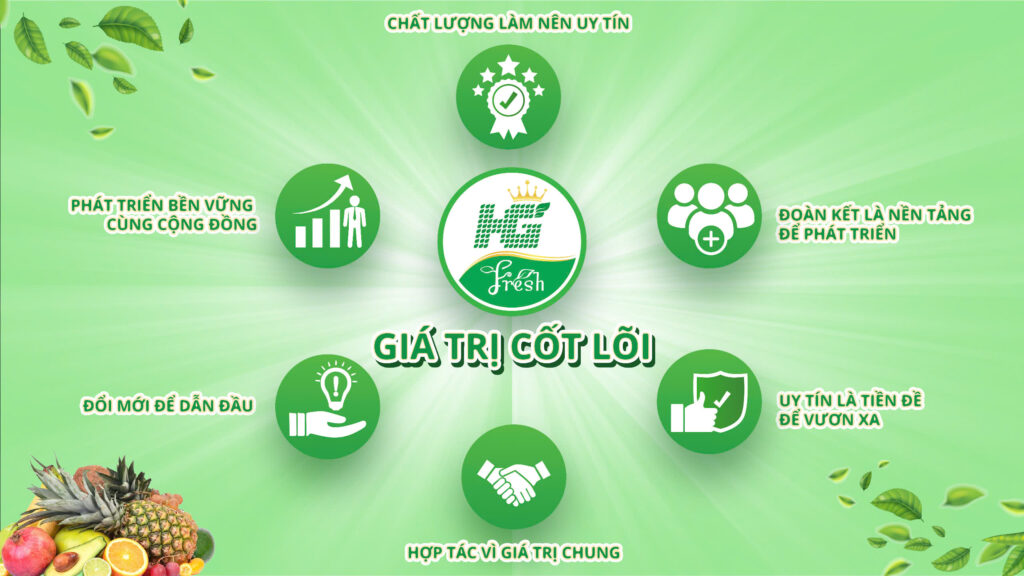 gia tri cot loi hgfresh
