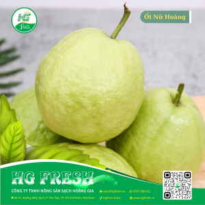 Ổi Nữ Hoàng loại 1 – giòn ngọt, sạch và tươi ngon từ HG Fresh