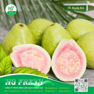 Ổi Ruột Đỏ – ngọt thanh, giàu vitamin, tươi sạch từ HG Fresh