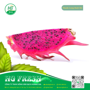 Thanh Long Ruột Đỏ – ngọt mát, giàu dinh dưỡng, sản phẩm sạch từ HG Fresh