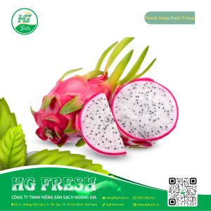 hanh Long Ruột Trắng – thanh mát, tươi ngon, tốt cho sức khỏe từ HG Fresh