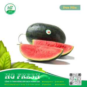 Dưa Hấu Đỏ – ngọt mát, mọng nước, tươi ngon từ HG Fresh