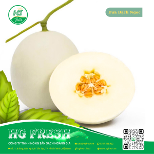 Dưa Bạch Ngọc – giòn ngọt, thơm mát, trái cây cao cấp từ HG Fresh