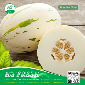 Dưa Sữa Nhật – ngọt thanh, béo nhẹ, đạt chuẩn VietGAP từ HG Fresh