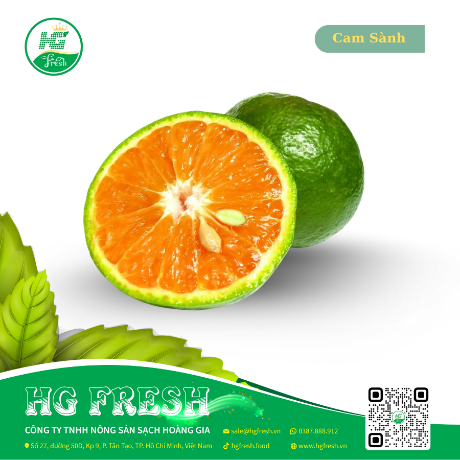 Cam Sành – mọng nước, ngọt thanh, tươi ngon từ HG Fresh