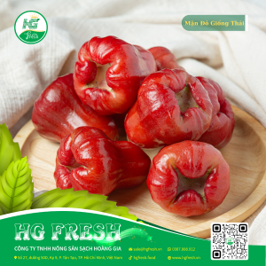 Mận Đỏ Giống Thái – giòn ngọt, chua nhẹ, tươi ngon từ HG Fresh